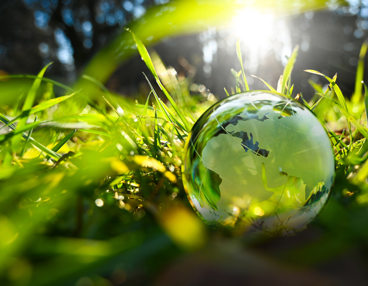 Environment new year green glass globe sphere earth ball europe and asia world with green leaves and morning sunlight in forest - sustainable environment and ecology earthball 2025.