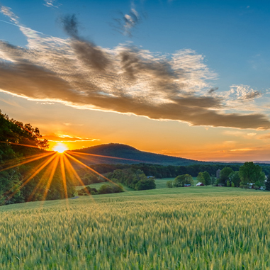 Country Sunset 